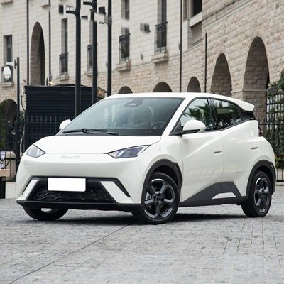 বাইড সিগল স্মার্ট গাড়ি